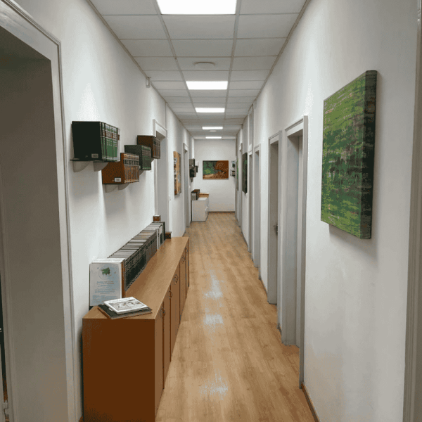 Studio Legale Papa — corridoio